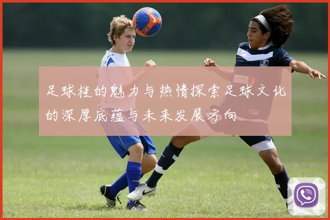 足球桂的魅力与热情探索足球文化的深厚底蕴与未来发展方向