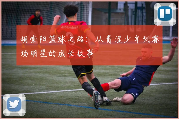 胡崇阳篮球之路：从青涩少年到赛场明星的成长故事